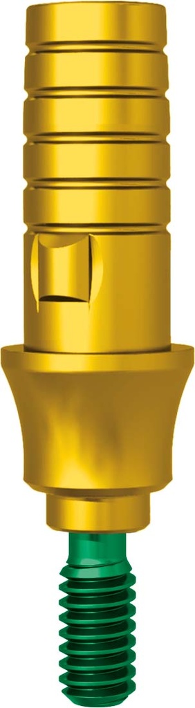 Ti Base non engaging H 3.0 JDEvolution Plus