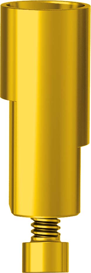 Implant replica CAD CAM JDIcon Plus