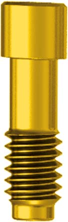 Screw for Conical Abutment Angulated JDIcon Plus