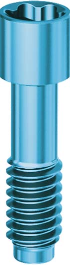 Prosthetic screw angulated channel JDIcon Plus