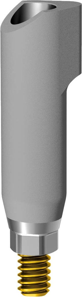 Scan Body JDIcon Plus