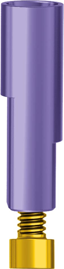 Implant Replica CAD CAM with screw JDIcon Ultra S