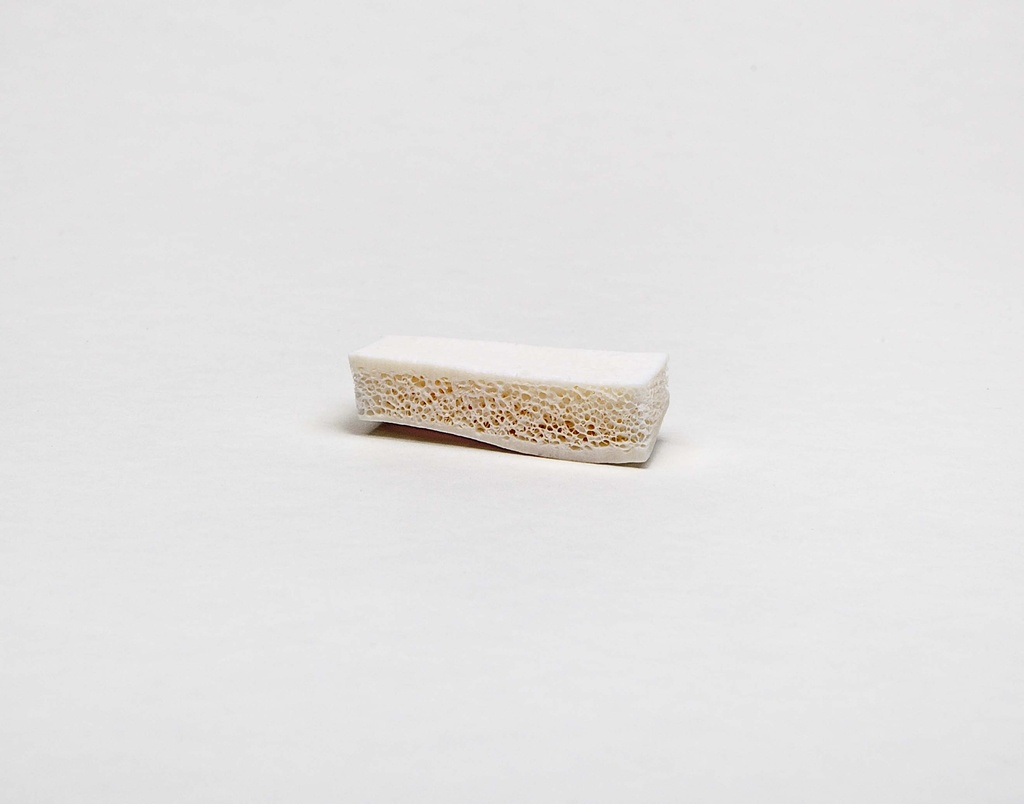 Ilium Strip Bicortical - Medium, 15 x 30 mm (Preservon)