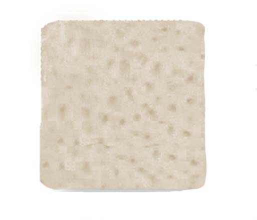 ORACell® Decellularized Dermis, 10x10mm / 0.76-1.25mm thick