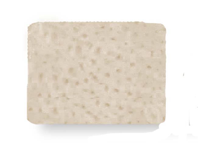 ORACell® Decellularized Dermis, 15x20mm / 1.26-1.75mm thick