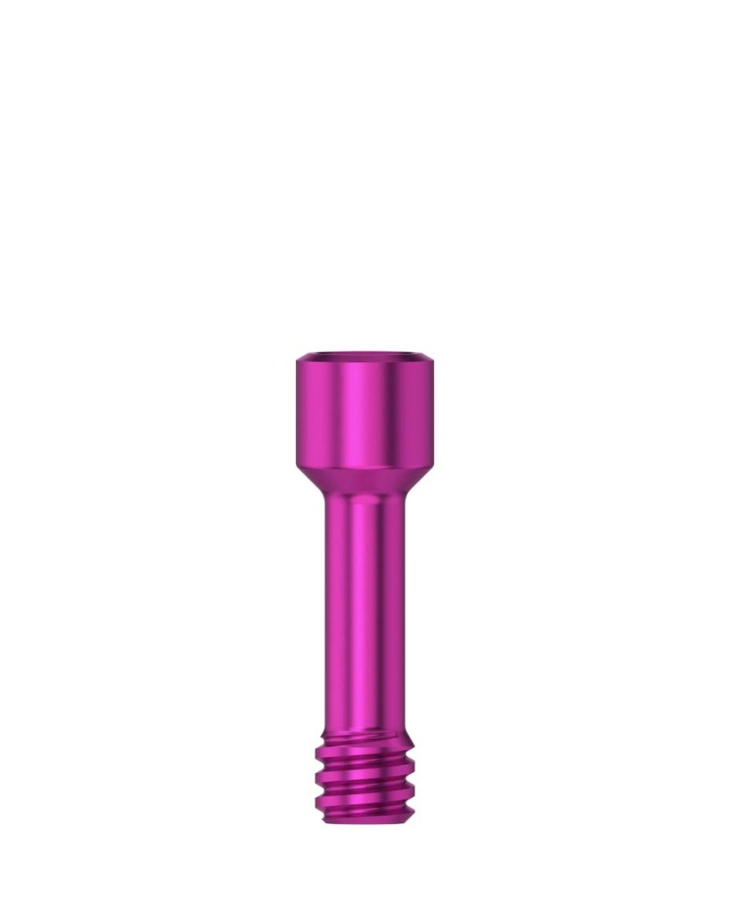 Laboratory Screw Hex 1,2 M 1,6