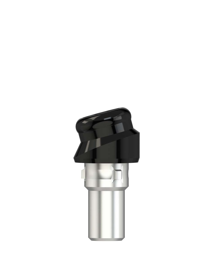 Novaloc Abutment Ø 4.3 GH 1.0/2.0 Angled Typ 2, 15° [CAMLOG]