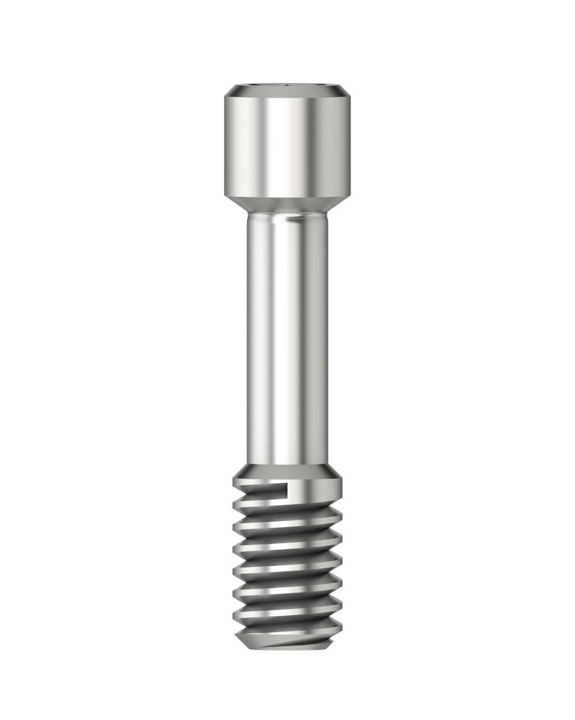 Scan Body Retention Screw Hex 1,26 M 2,0 [DT-SL/IM]