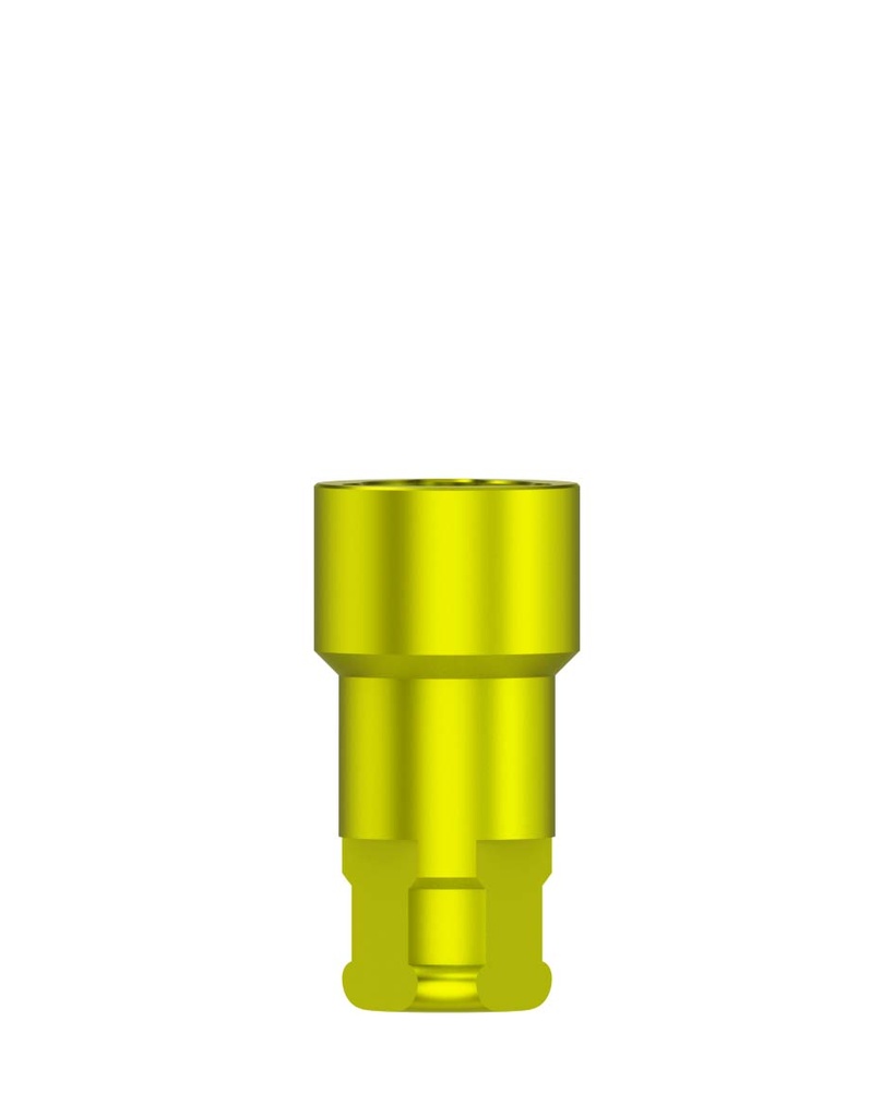 Laboratory Analog CADCAM RP 4,3