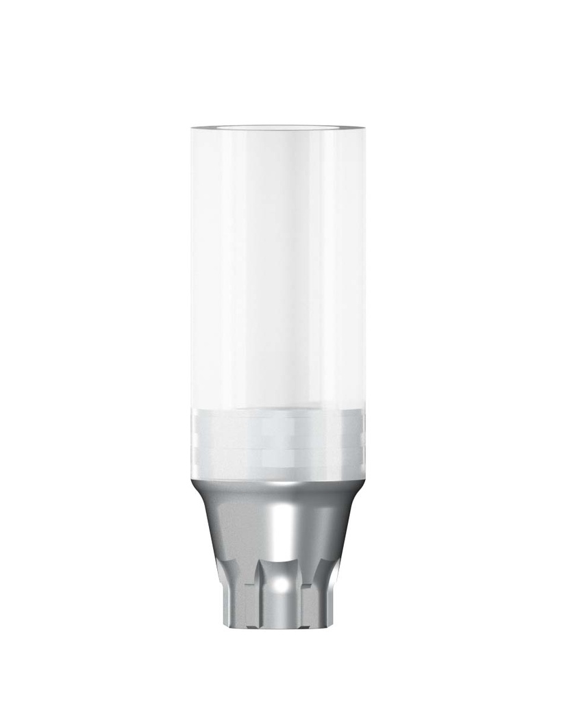 CoCr Abutment incl. Screw Rotation Indexed Ø 4,8 mm