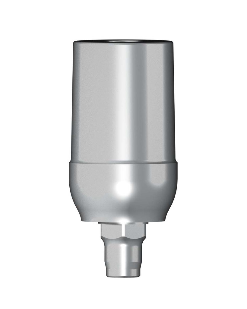 Straight Massiv Abutment incl. Abutment Screw Ø 5,0 mm [B3i-C]