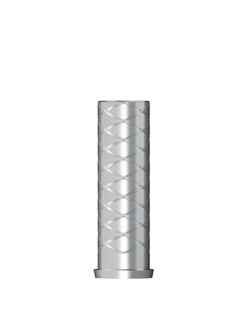 Temporary Abutment Ti, incl. Abutment Screw Ø 3,4 mm