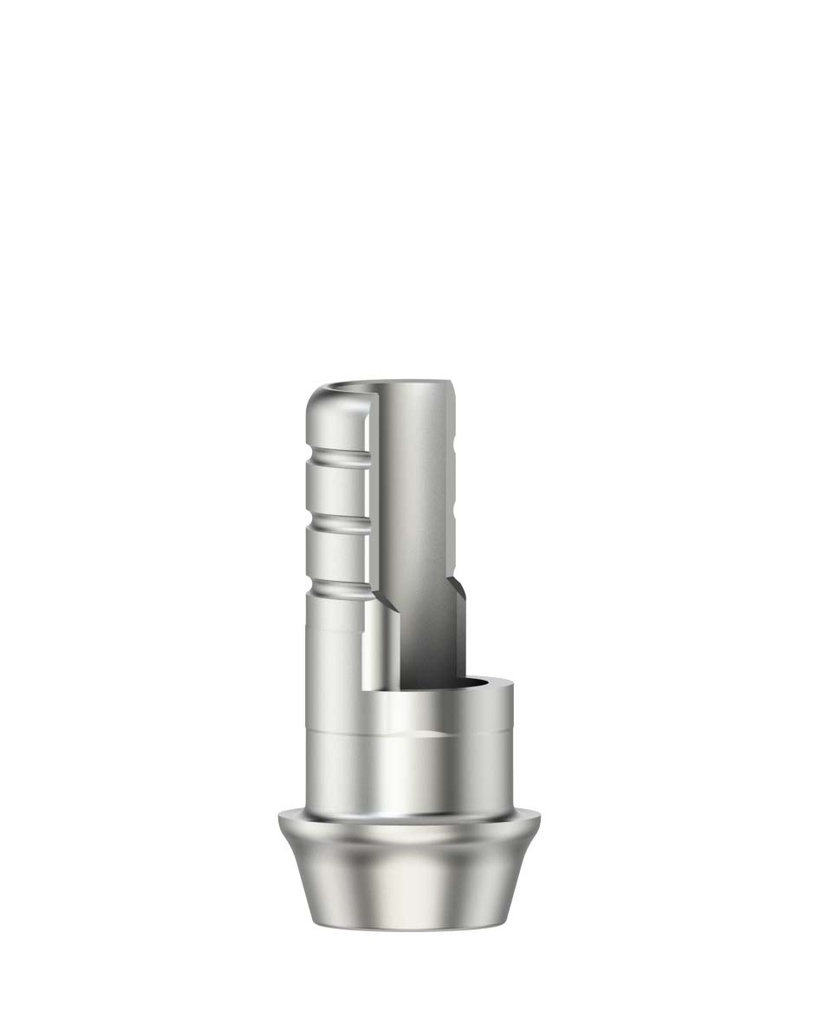Ti-Base ASC Flex Rotating / GH 1,0 - RC 4,1/4,8 [ST-BL]