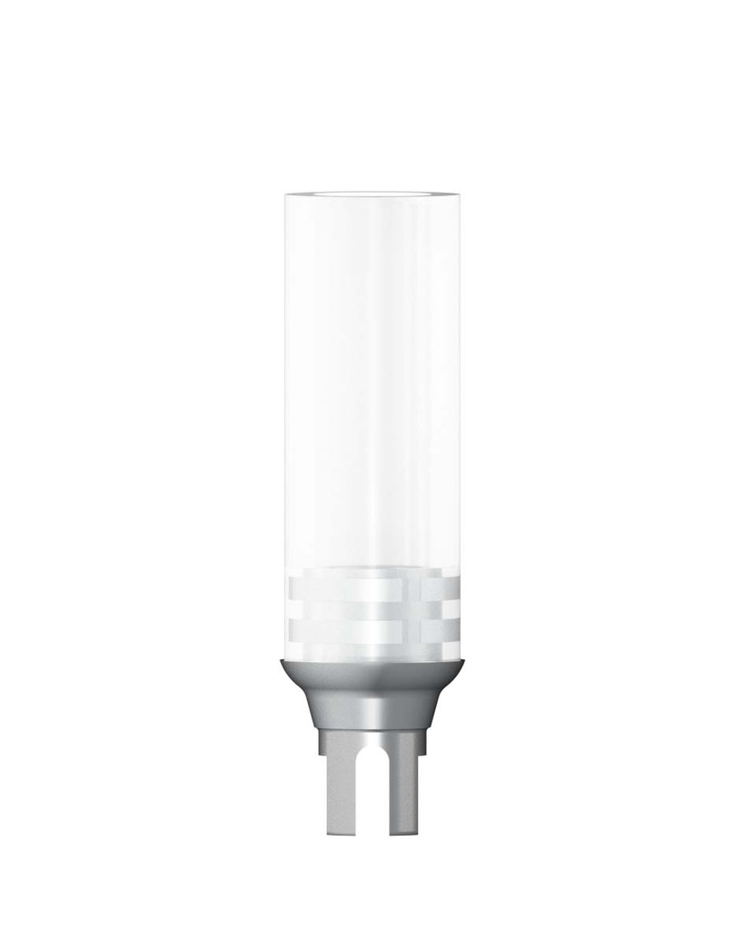 Cobalt Chroom Abutment incl. Screw Rotation Indexed NC