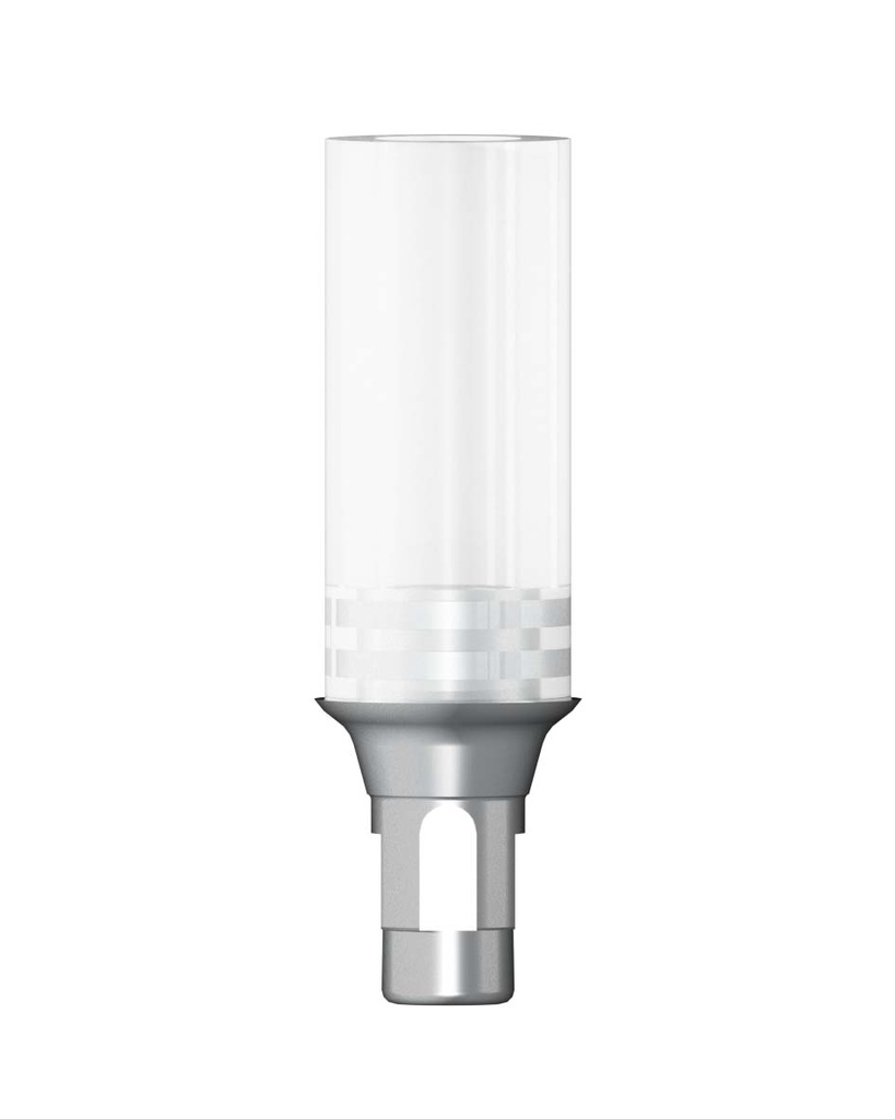 Cobalt Crome Abutment incl. Screw Rotation Indexed RC