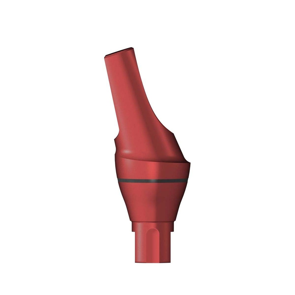 Angled Planning Abutment NC