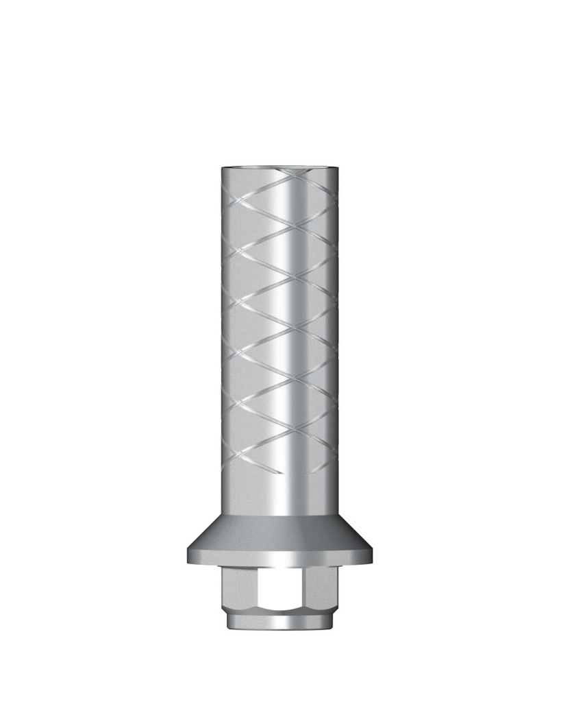 Temporary Abutment Ti, incl. Abutment Screw RN Ø 4,8 mm [ST-TL]