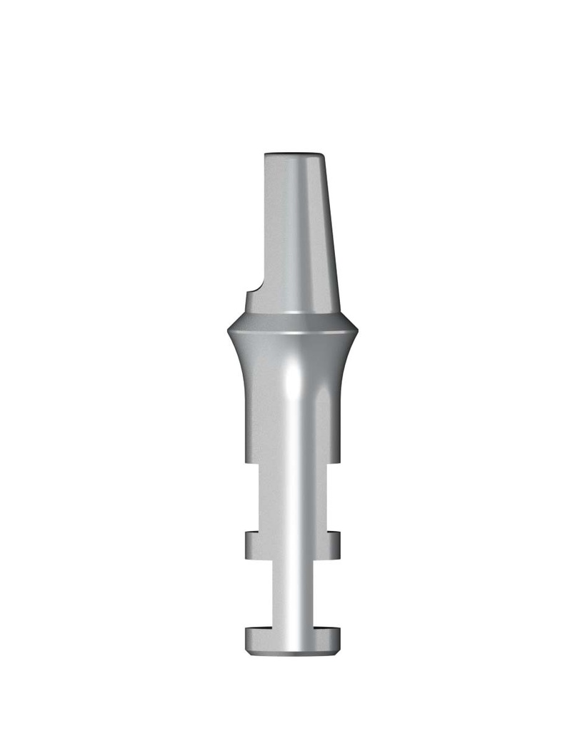 Labor Analog for RN-Massiv Abutment Grey