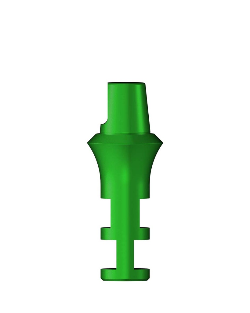 Labor Analog for WN-Massiv Abutment Green