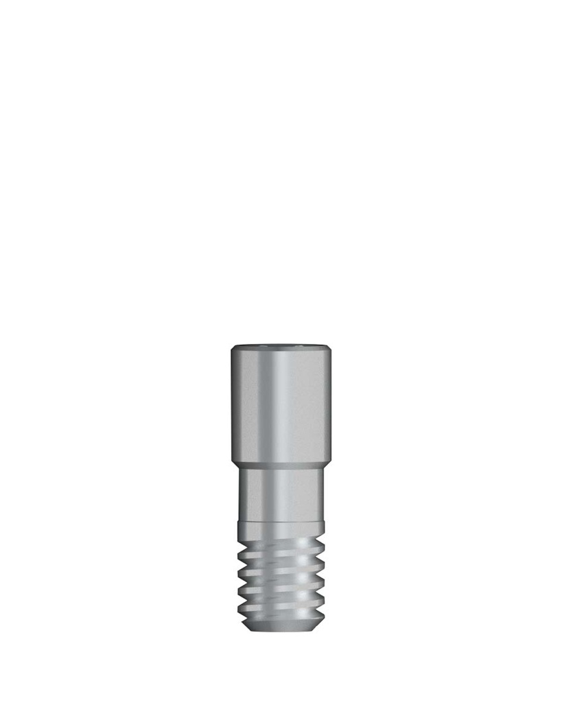 Abutment Screw RN/WN
