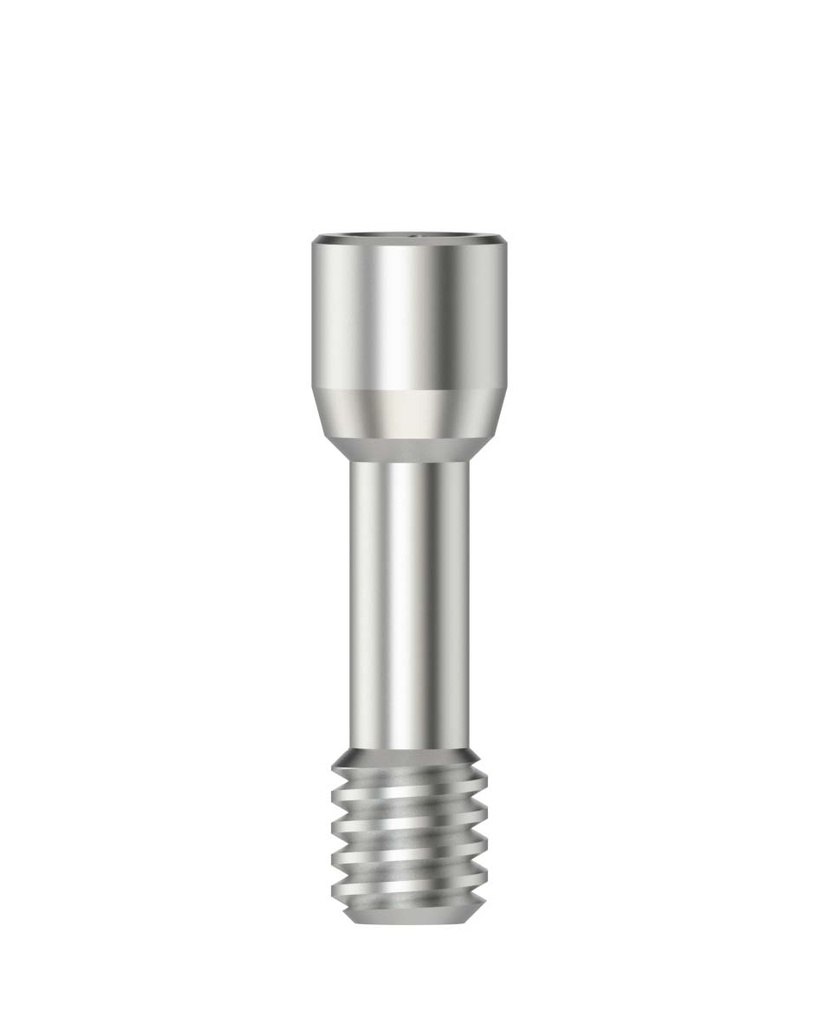 Abutment Screw