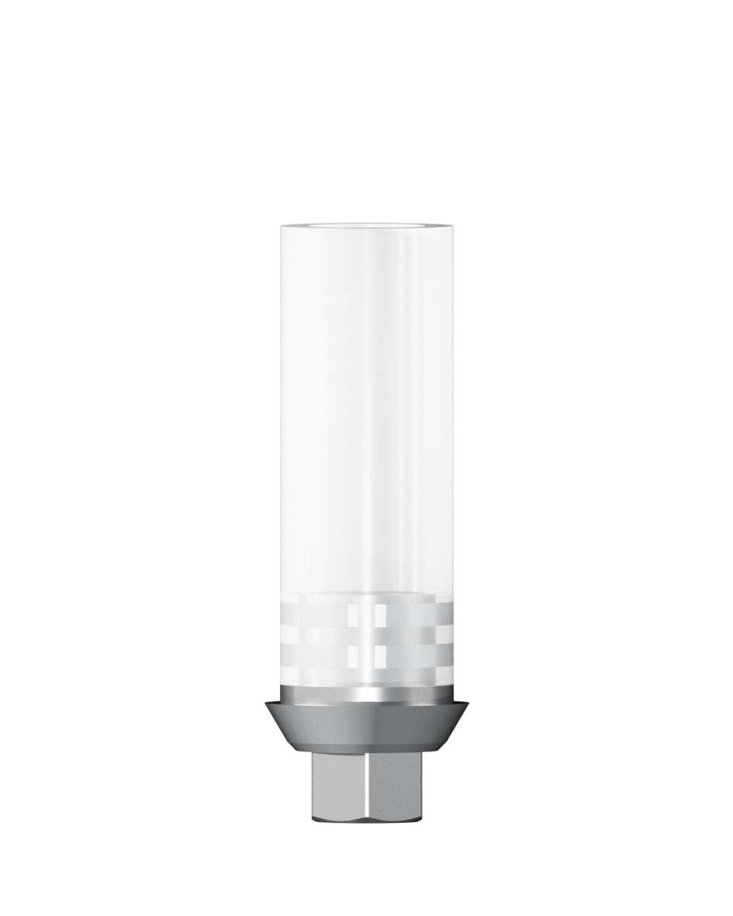 CoCr Abutment incl. Screw Rotation Indexed Ø 3,5 mm