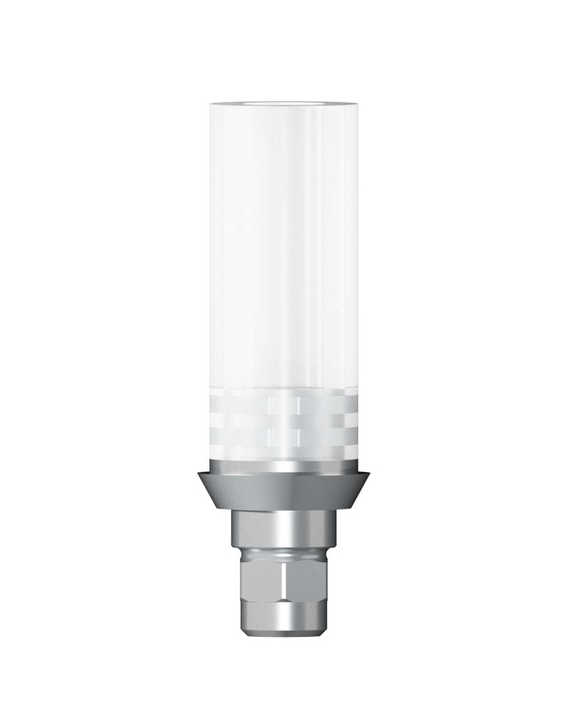 Castable CoCr Abutment Rotation Indexed Ø 3,8 [DS-XI]