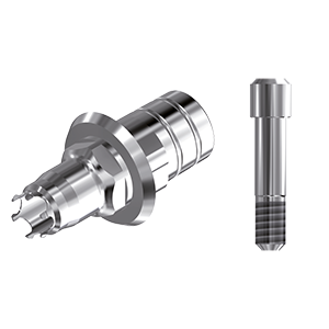 ZZ BASE B-C PCTBH 4.1(Parallel Ti-Base Hex & Screw)