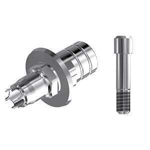 ZZ BASE B-C PCTBH 5.0 Parallel Ti-Base Hex & Screw)