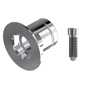 ZZ BASE B-O-PCTBH 6.0 (Parallel Cem. Ti-Base Hex & Screw)