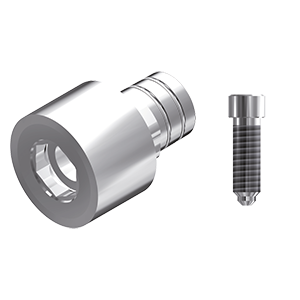 ZZ BASE B-O-PCTBH-L40 6.0 (Parallel Cem.Ti-Base Hex & Screw)