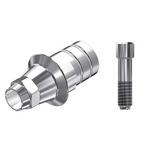 ZZ BASE CH-IR-PCTBH3.5/4.0/4.5/5.5 (Par.Ti-Base Hex & Screw)
