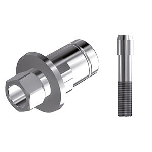 ZZ BASE S-S-PCTBH 4.2 (Parallel Cem. Ti-Base Hex & Screw)
