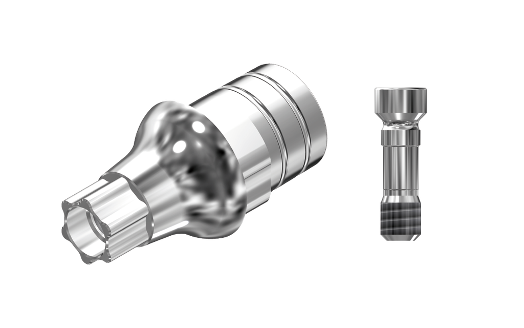 ZZ BASE ST-BLX-PCTBH-L20 RB/WB (Par. Cem. Ti-Base Hex & Scr)