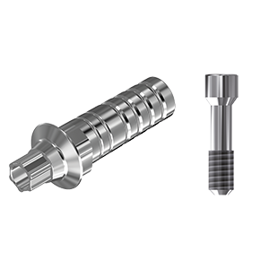 ZZ BASE NB-A-PCTBH-K85 CC 3.0 (Paral Ti-Base Hexed & Screw)