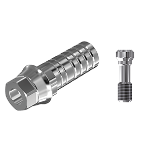 ZZ BASE NB-A-PCTBH-K85 WP (Parallel Ti-Base Hexed & Screw)