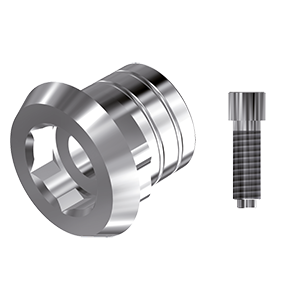 ZZ BASE BT-E-PCTBH 5.5 (Parallel Cem. Ti-Base Hex & Screw)