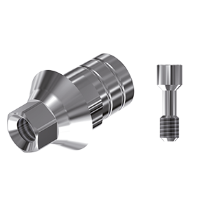ZZ BASE BH-INT-PCTB 3.0 (Parallel Cem. Ti-Base Hex & Screw)