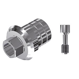 ZZ BASE BH-INT-PCTB 4.5 (Parallel Cem. Ti-Base Hex & Screw)