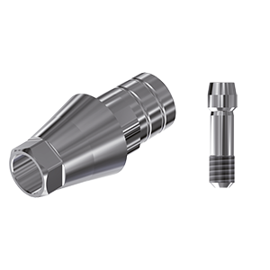 ZZ BASE OS-GS-PCTBH 4.0/4.5/5.0 (Paral Ti-Base Hex&Scr)