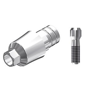 ZZ BASE BEGO-SEM-PCTBH 3.75 L40 Parallel Ti-Base Hex & Screw
