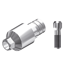 ZZ BASE BEGO-SEM-PCTBH 4.50 L40 Parallel Ti-Base Hex & Screw