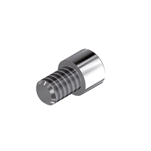 ZZ BASE NB-MUA ZSC NP/RP (Screw for Zi-abutments)