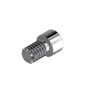 ZZ BASE NB-MUA ZSC WP (Screw for Zi-abutments)