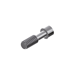 ZZ BASE ST-SO-ZSC RN 4.8 - Screw, Zr-abutments Implant Level