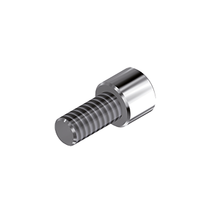 ZZ AS-OS-ZSC (Screw for Zr-Uni-abutment 20°)