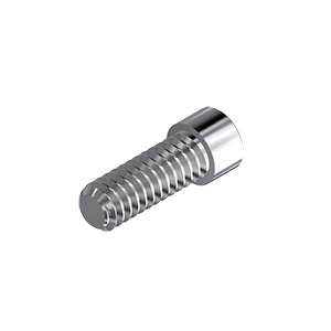 ZZ BASE B-EH-TSC RP 6.0 (Screw for Ti-abutments)