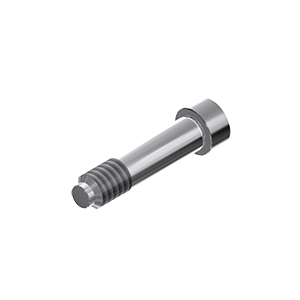 ZZ BASE ME-AO-ZSC S (Zirconia Screw)