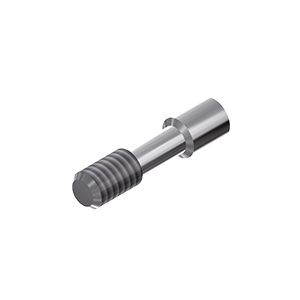 ZZ BASE Z-SV-4.5 (Screw for Ti-abutments)