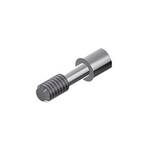 ZZ BASE Z-TS-ZSC 3.5 (Screw for Zr-abutments)